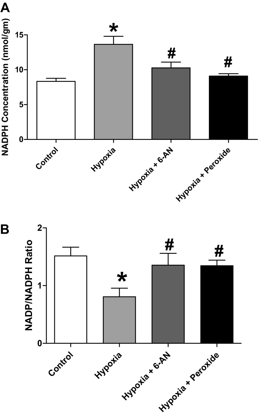 Fig. 12.