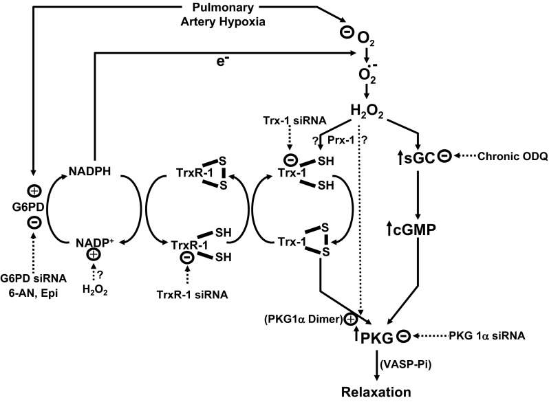 Fig. 13.