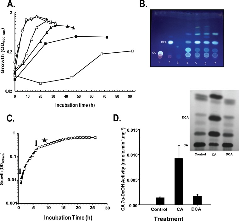 FIG 1