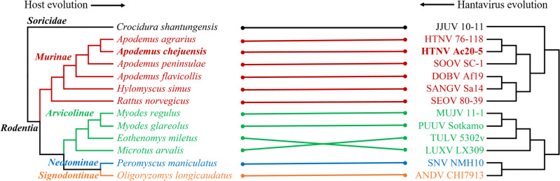 Fig 5