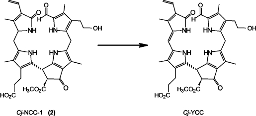 Scheme 6