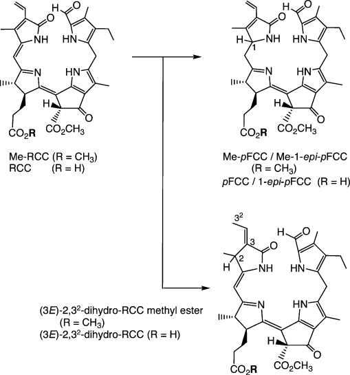 Scheme 4