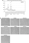 <b>FIG. 3.</b>