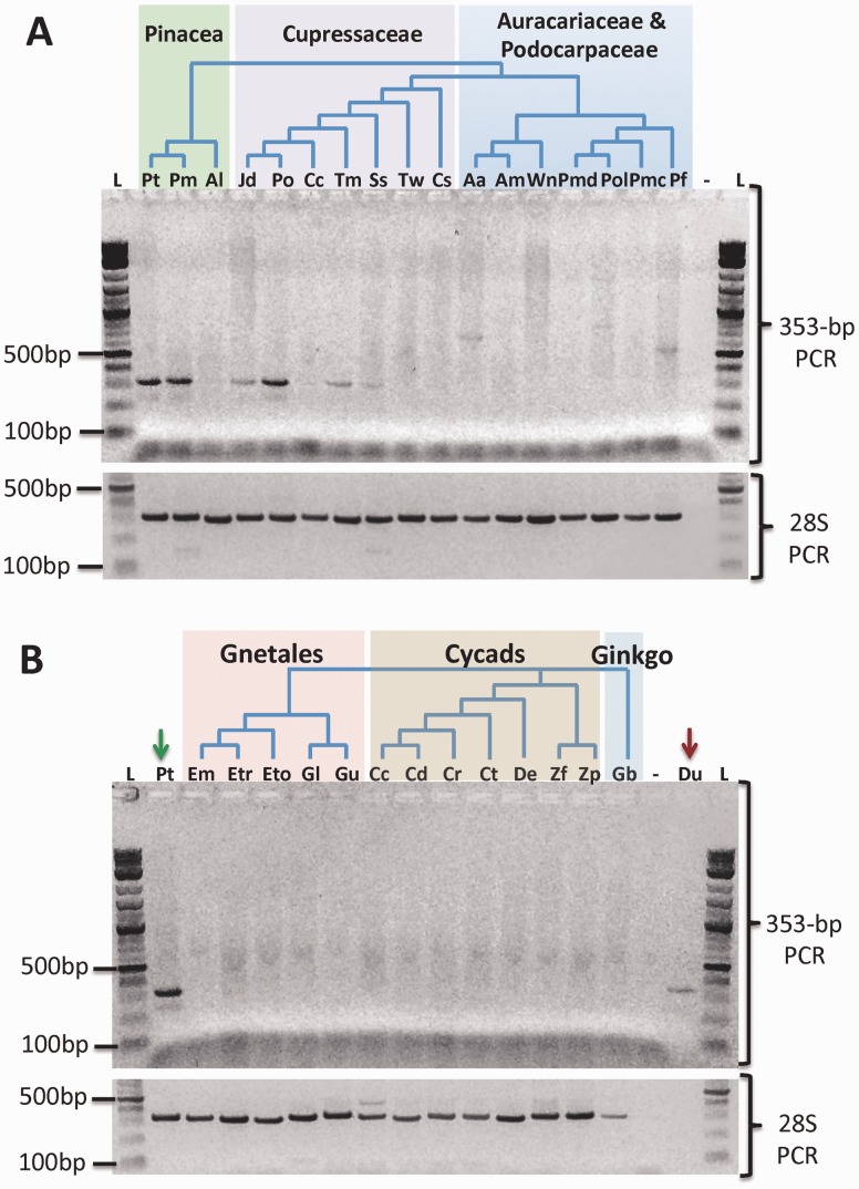 Fig. 4.—