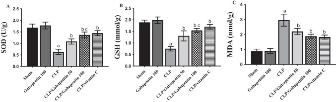 gabapentin renal effects