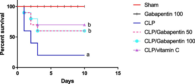 gabapentin and kidney