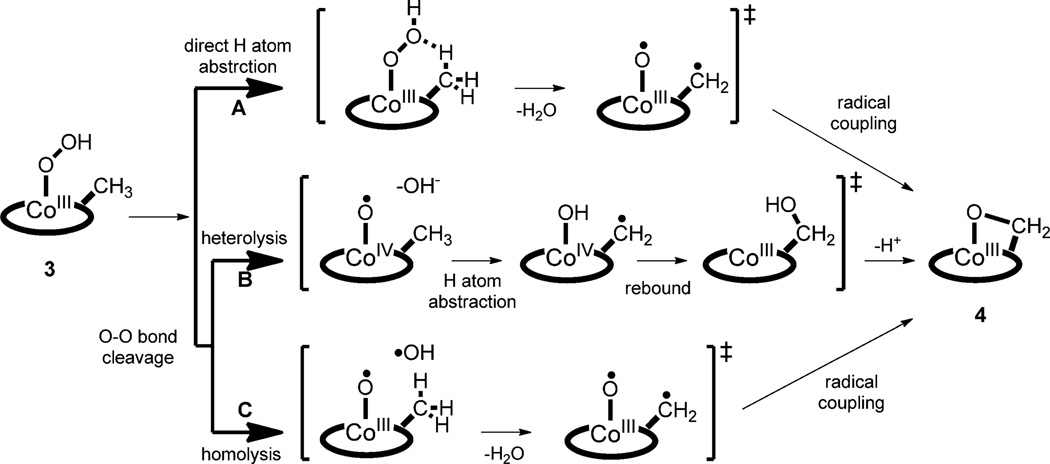 scheme 4