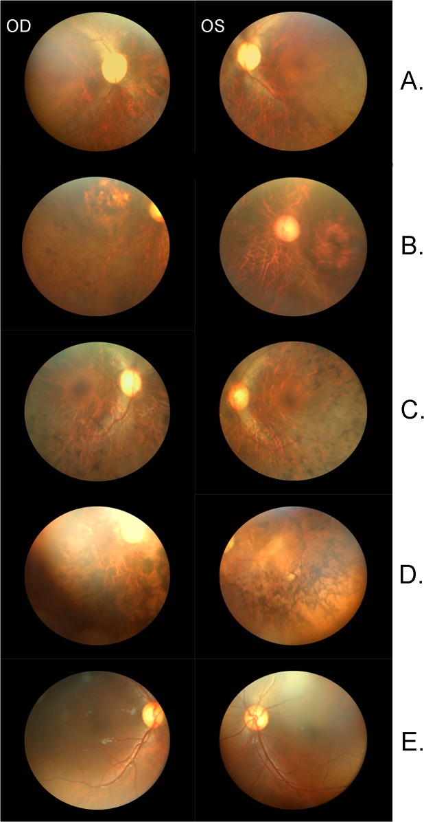 Fig 3