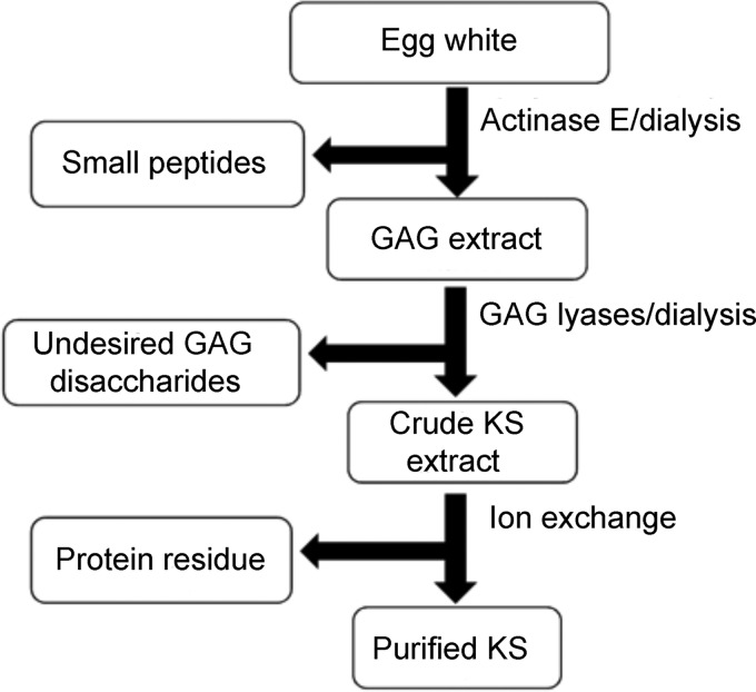 Fig. 2.