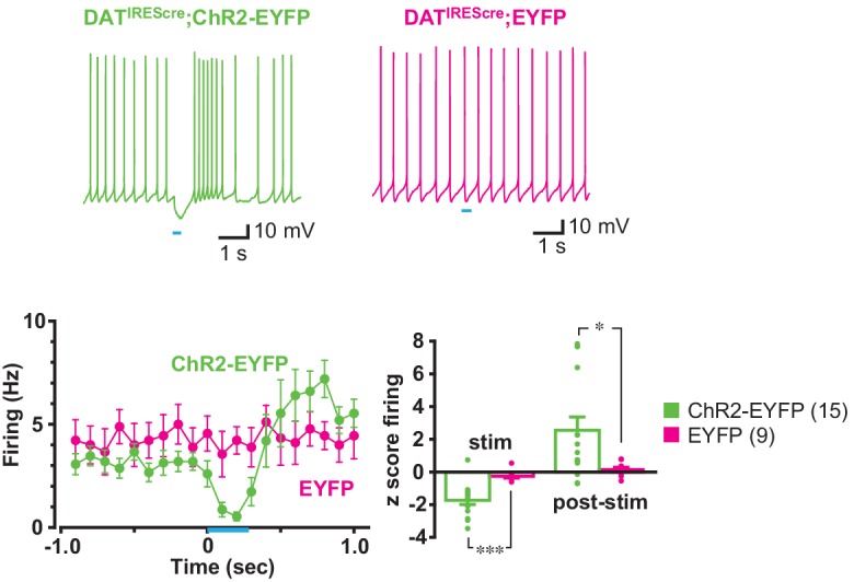 Figure 1—figure supplement 2.