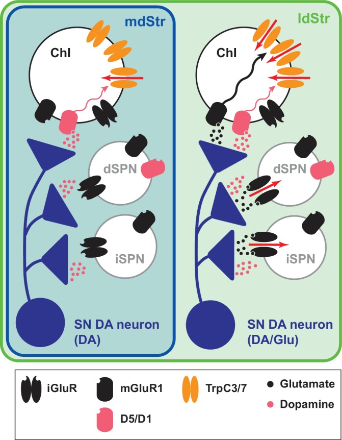 Figure 11.