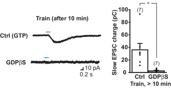 Figure 5—figure supplement 1.