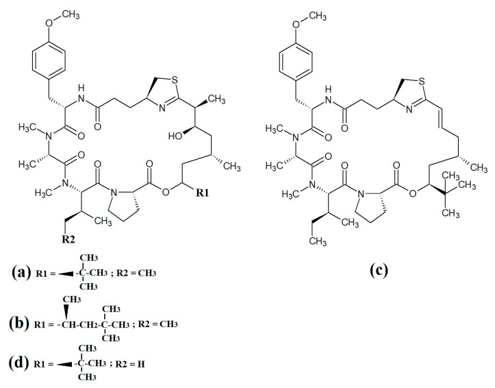 Figure 10