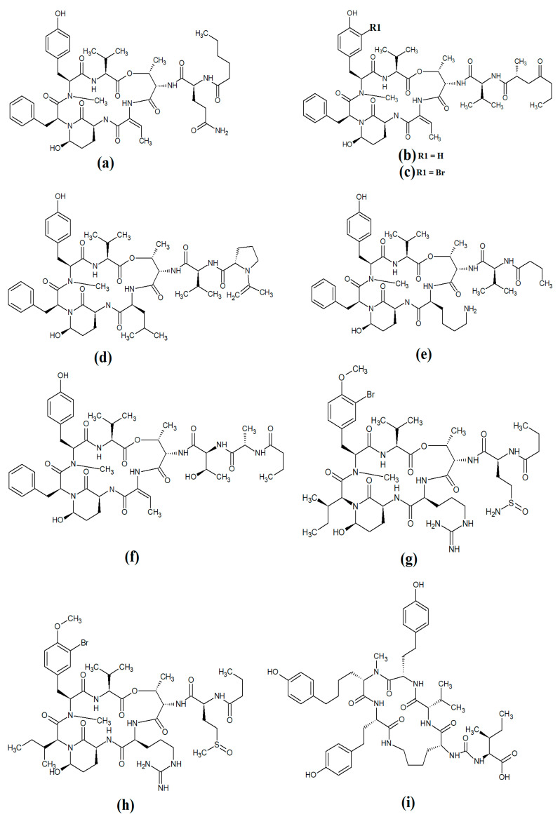 Figure 12