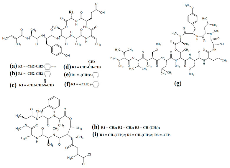 Figure 13