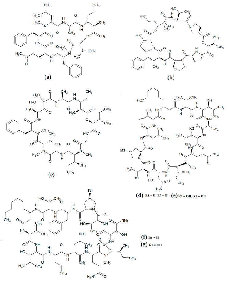 Figure 8