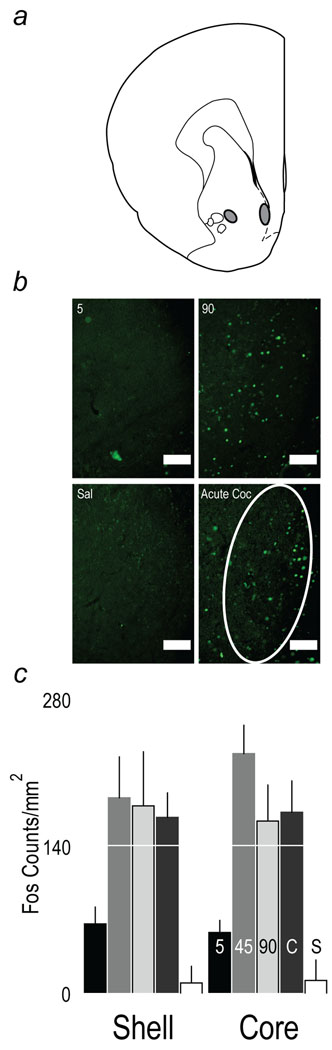 Fig. 9