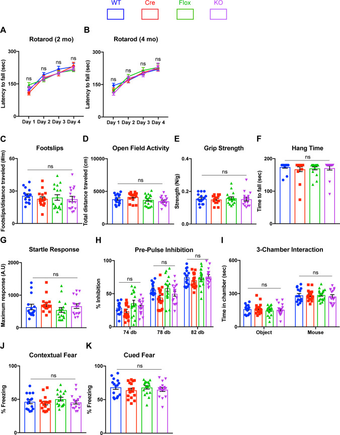 Figure 2—figure supplement 3.