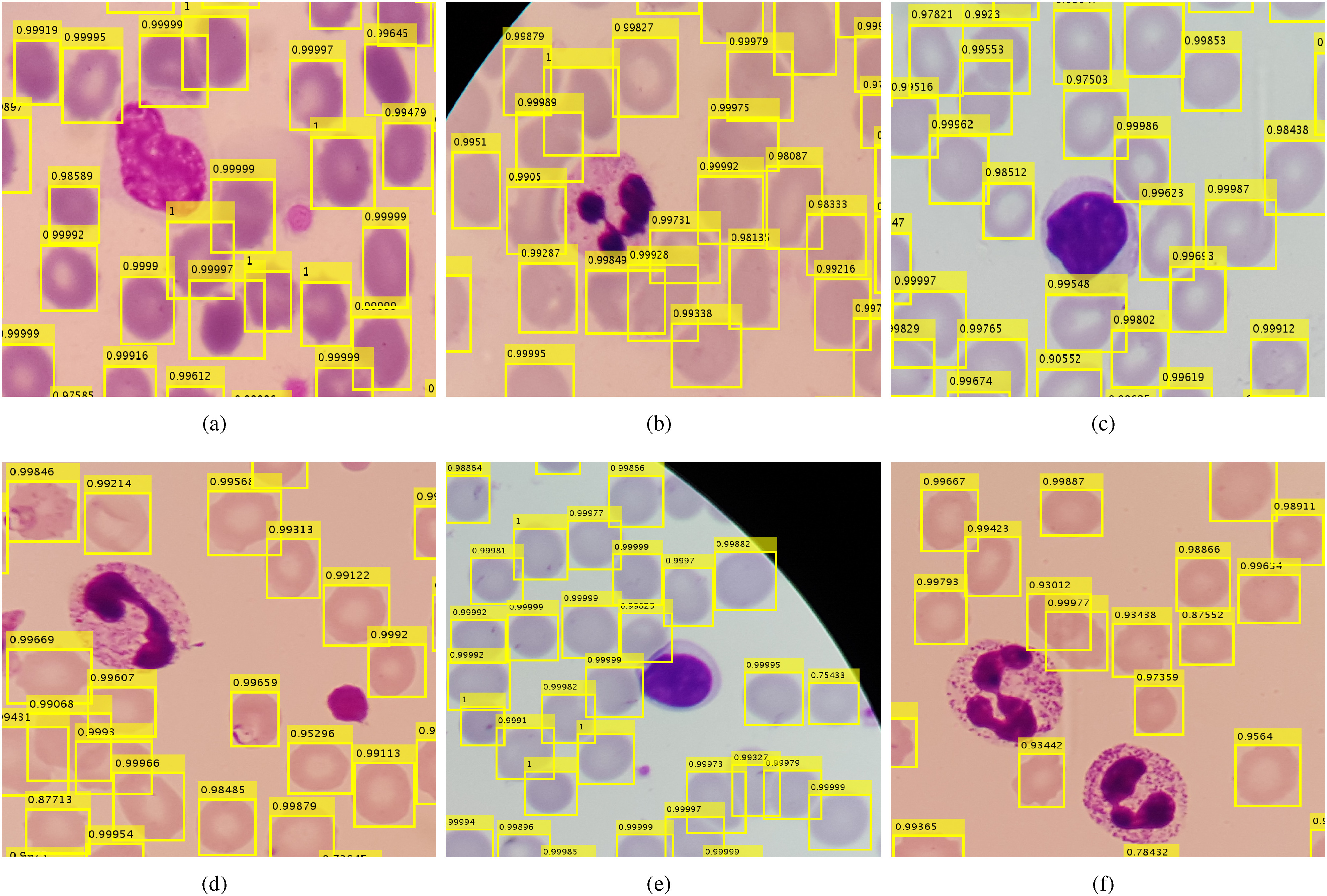 Fig. 4.