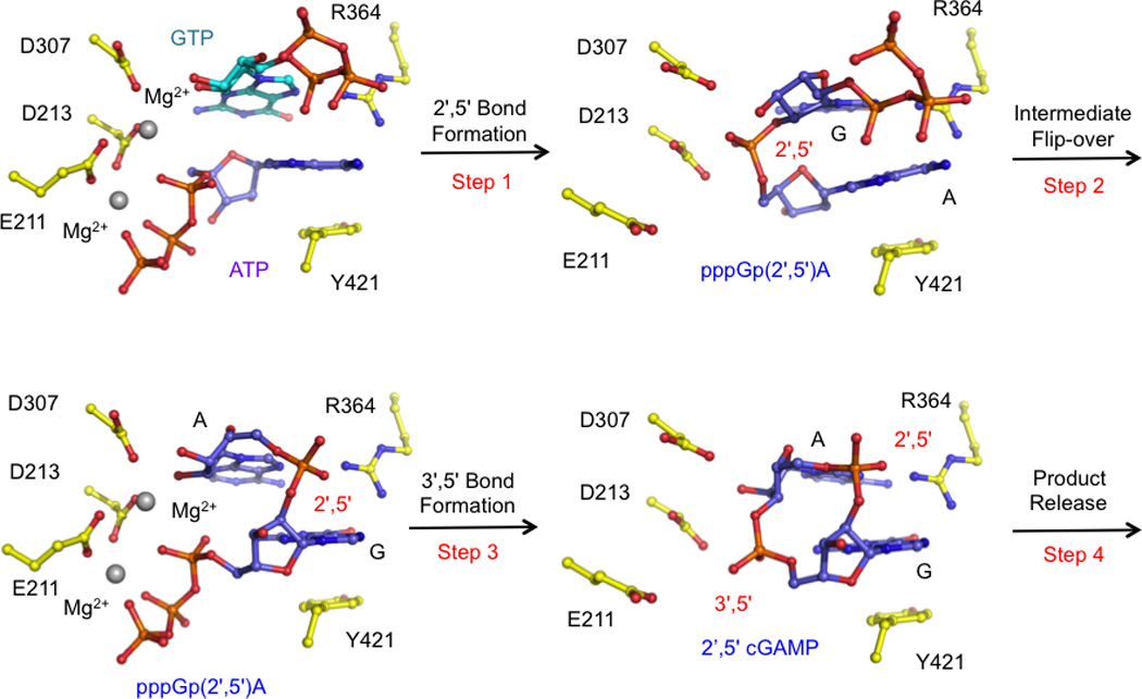 Figure 4