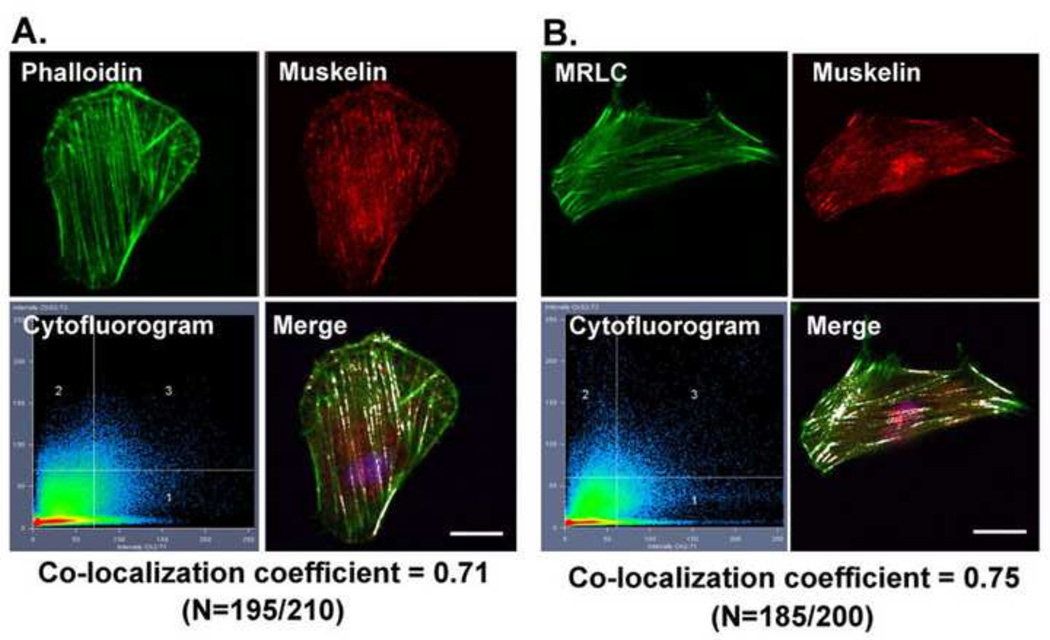 FIGURE 3