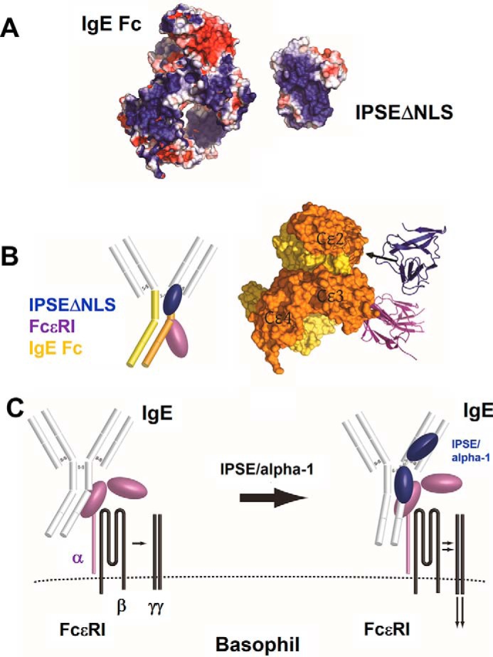 FIGURE 11.