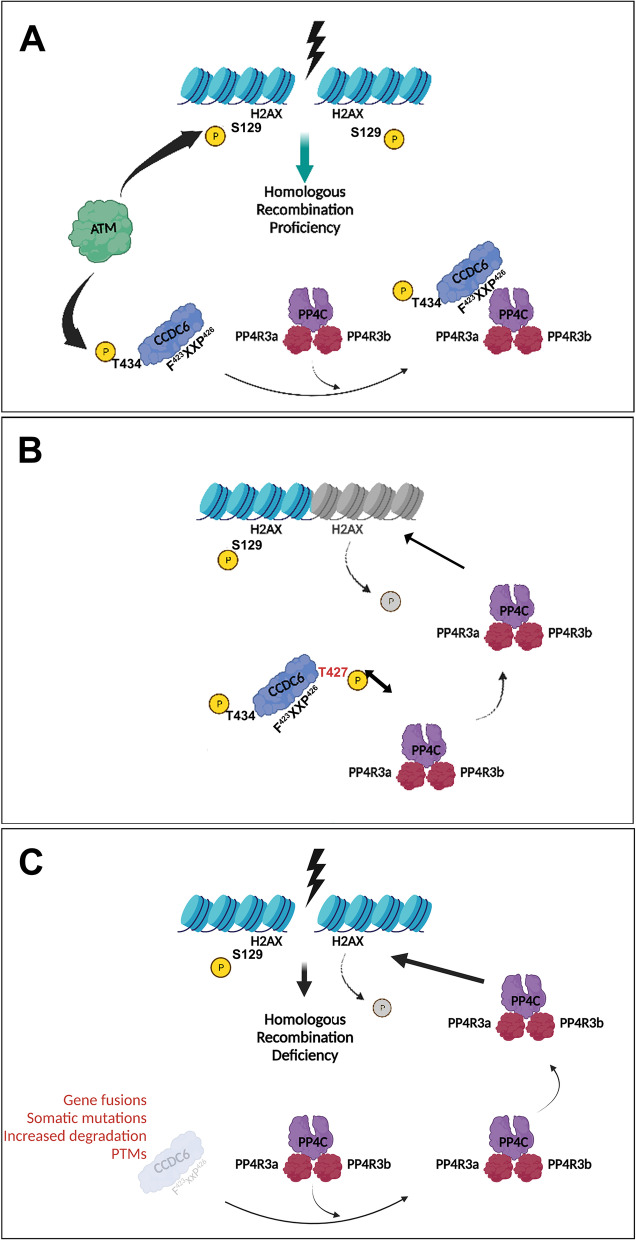 Fig. 7