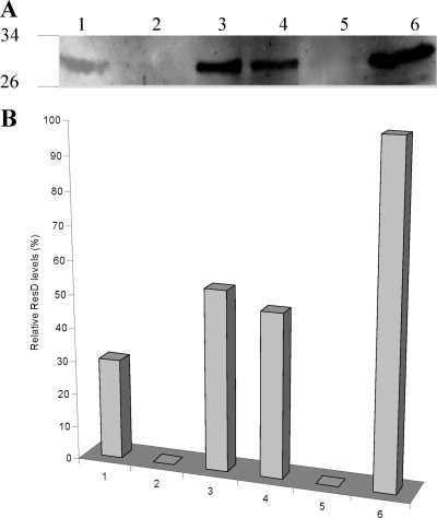 FIG. 6.