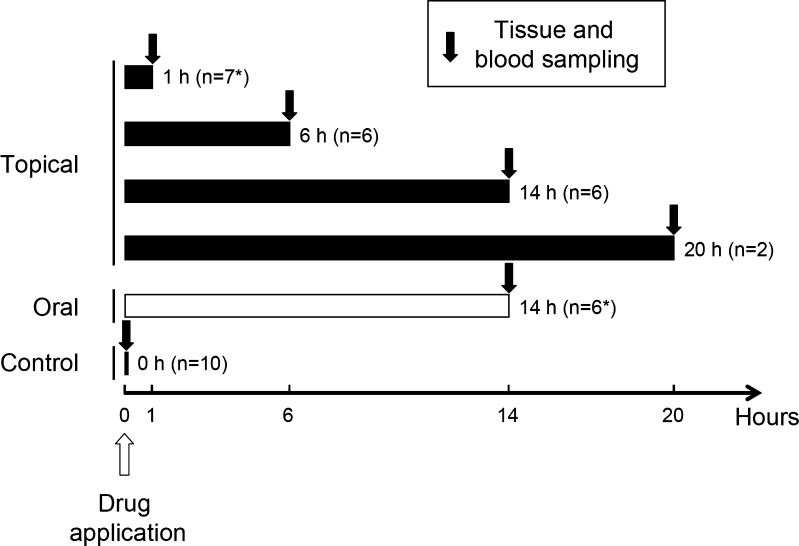Fig. 2