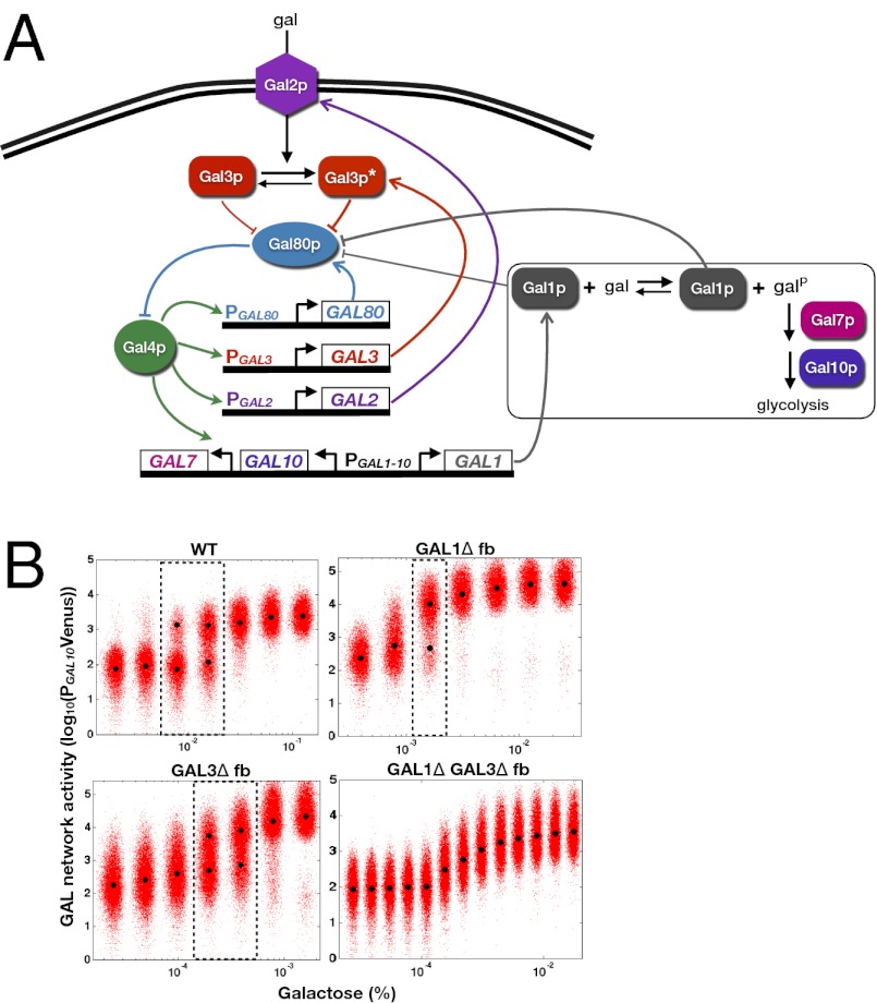 Fig. P1.