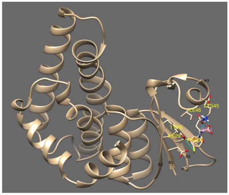 Figure 4