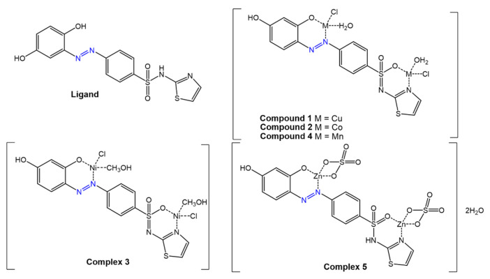 Figure 19