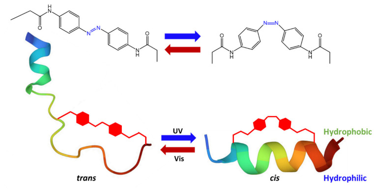 Figure 24