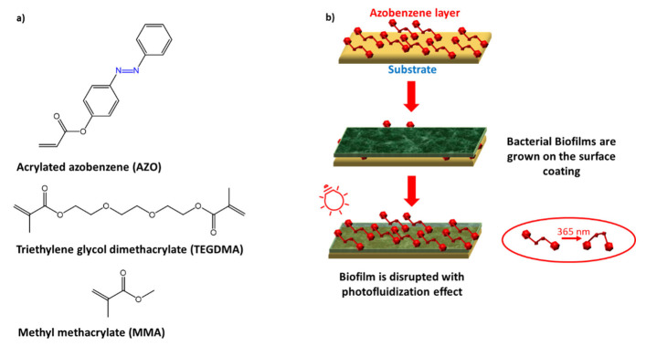 Figure 36