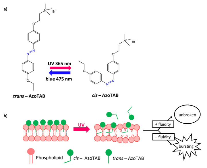 Figure 32