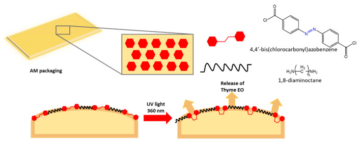 Figure 38