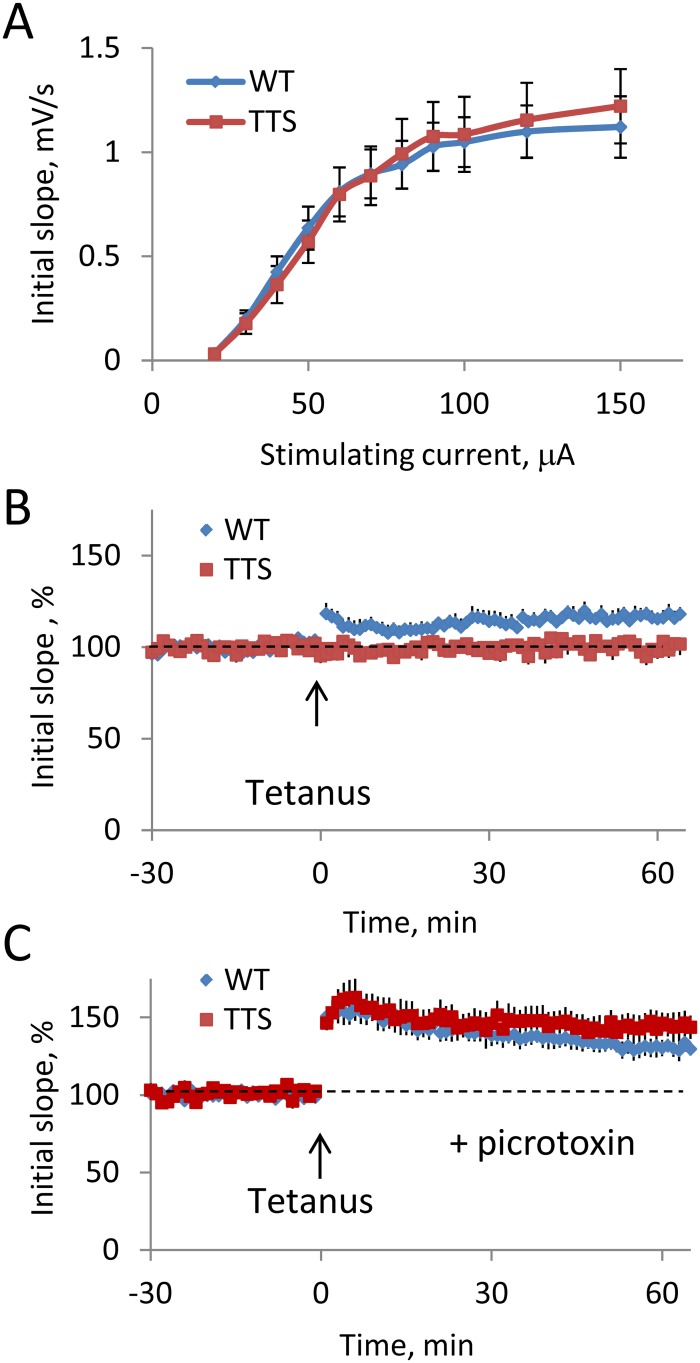 Fig 6