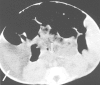 Fig. 4