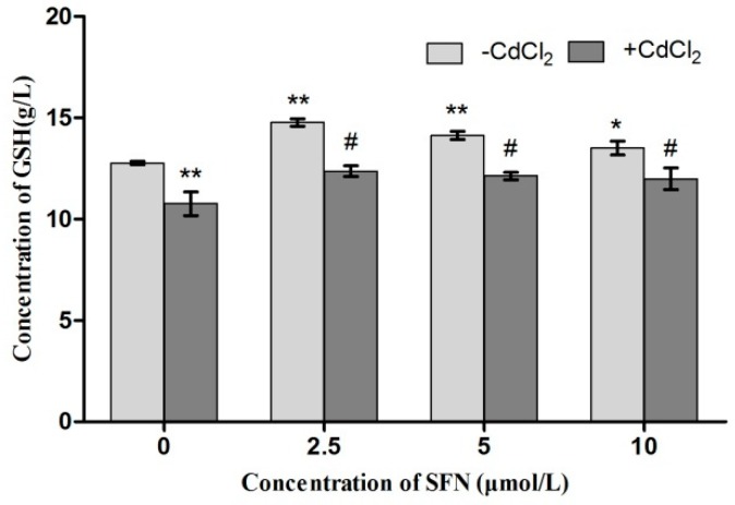 Figure 12