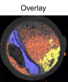 Figure 3c: