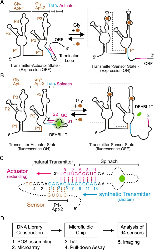 Figure 1.