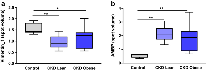 Figure 5