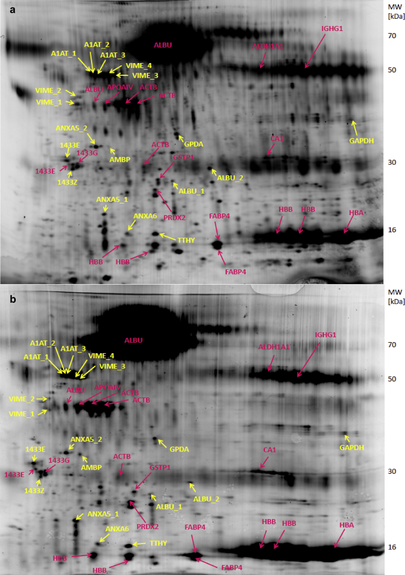 Figure 2