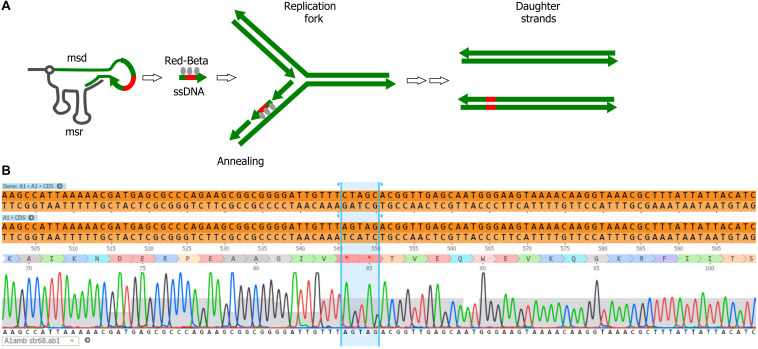 FIGURE 4