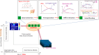 Image, graphical abstract