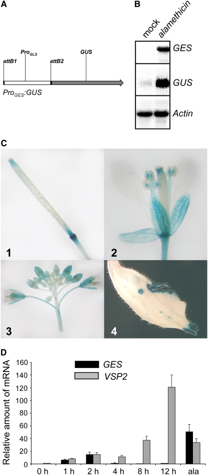 Figure 10.