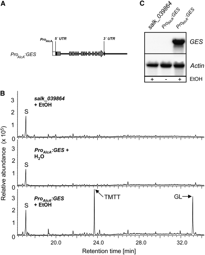 Figure 6.