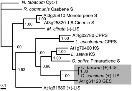 Figure 11.