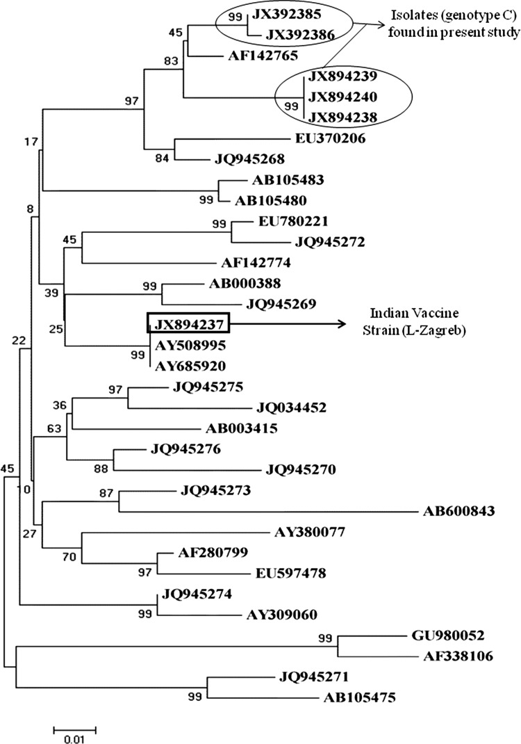 Fig. 3