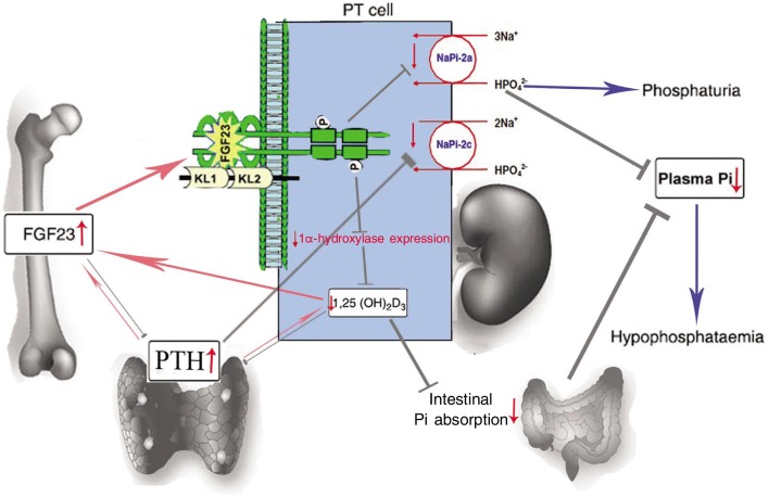 Figure 5.